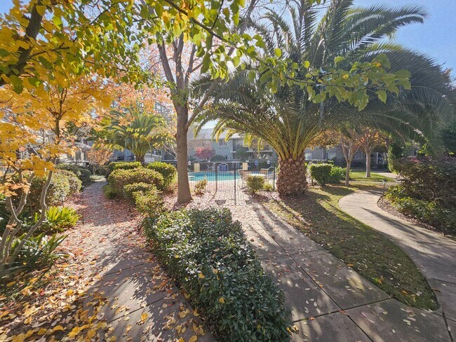 Building Photo - CLASSY CONDO - Spacious 1 Bed/1 Bath in Luxurious Setting - MENLO PARK