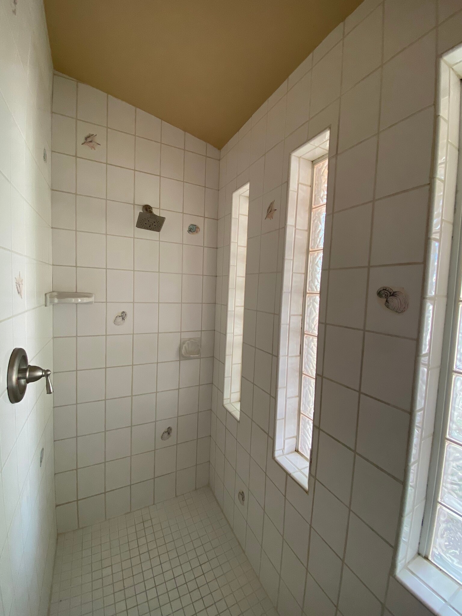 master shower - 3640 Vega Dr