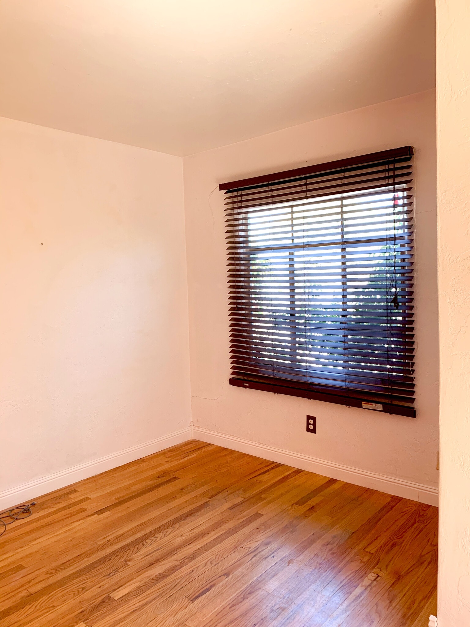 Building Photo - 417 Princeton Dr SE