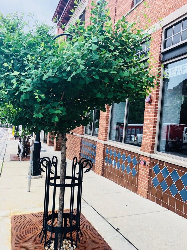 Primary Photo - 322 N Henry St