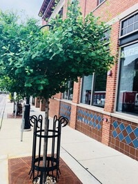 Building Photo - 322 N Henry St