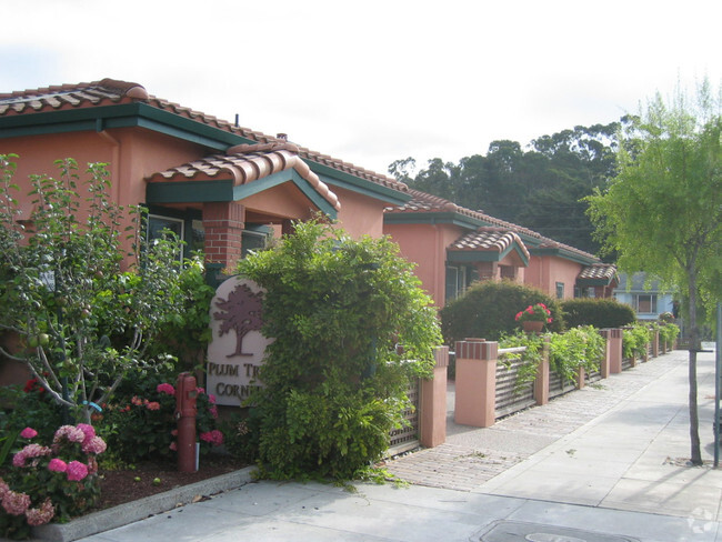 Alternate Building View - Plum Tree Court