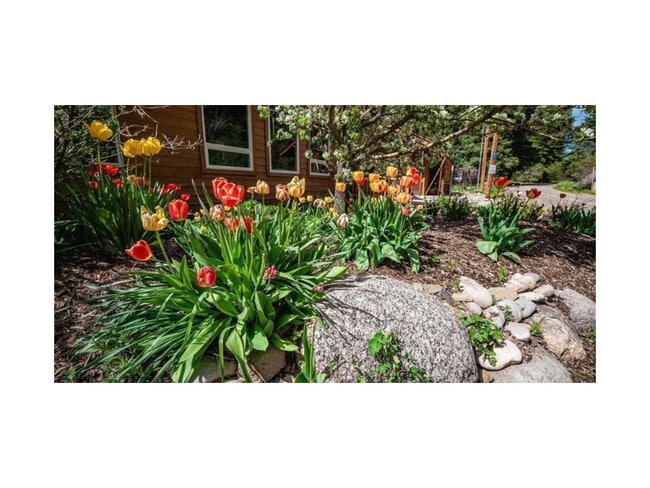 Building Photo - 005