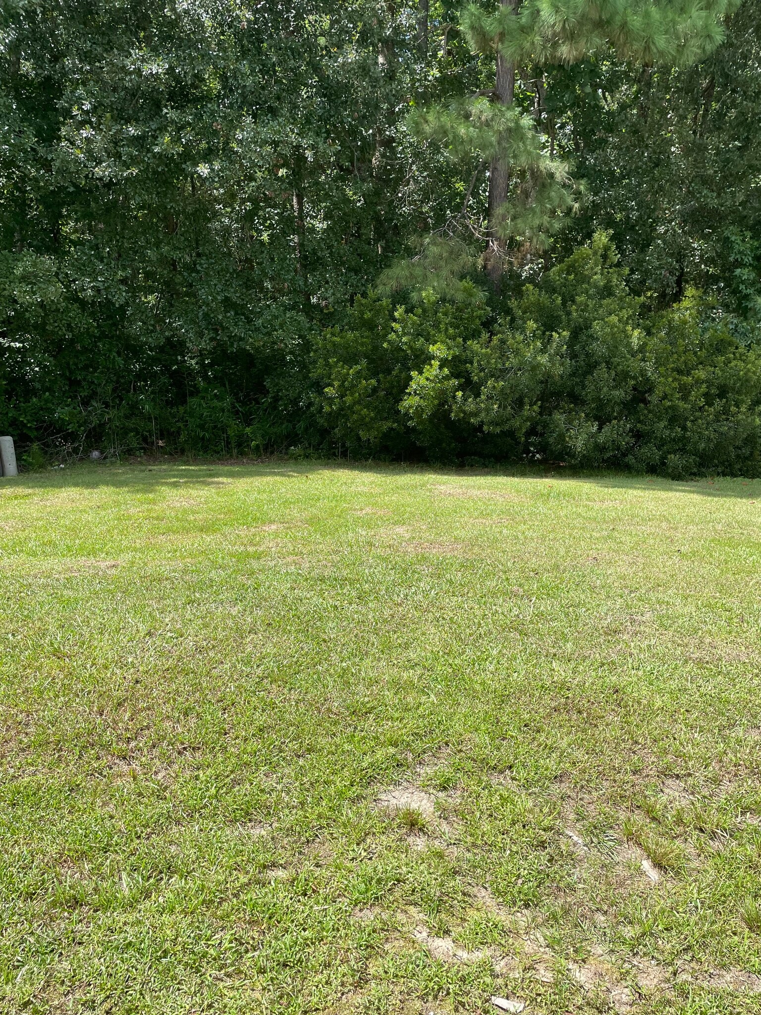 Backyard - 1314 Bradley Daniel Blvd
