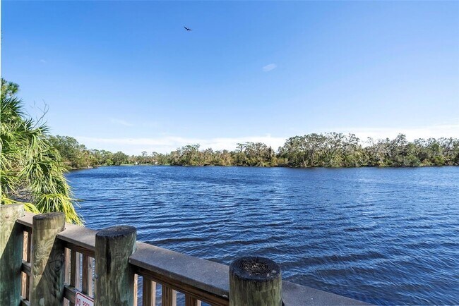 Building Photo - 8204 Villa Grande Ct