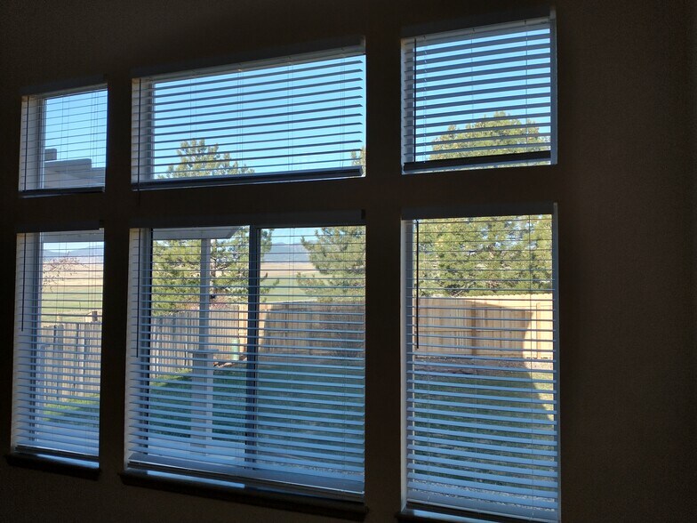 View of Backyard in Family Room - 2225 Andrew Dr