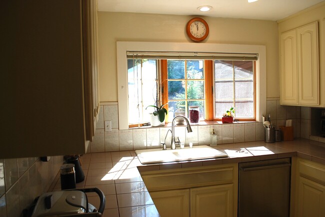 Kitchen window to driveway entrance - 5 Coronet Way