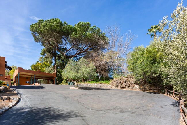 Building Photo - Spanish Style Oasis!