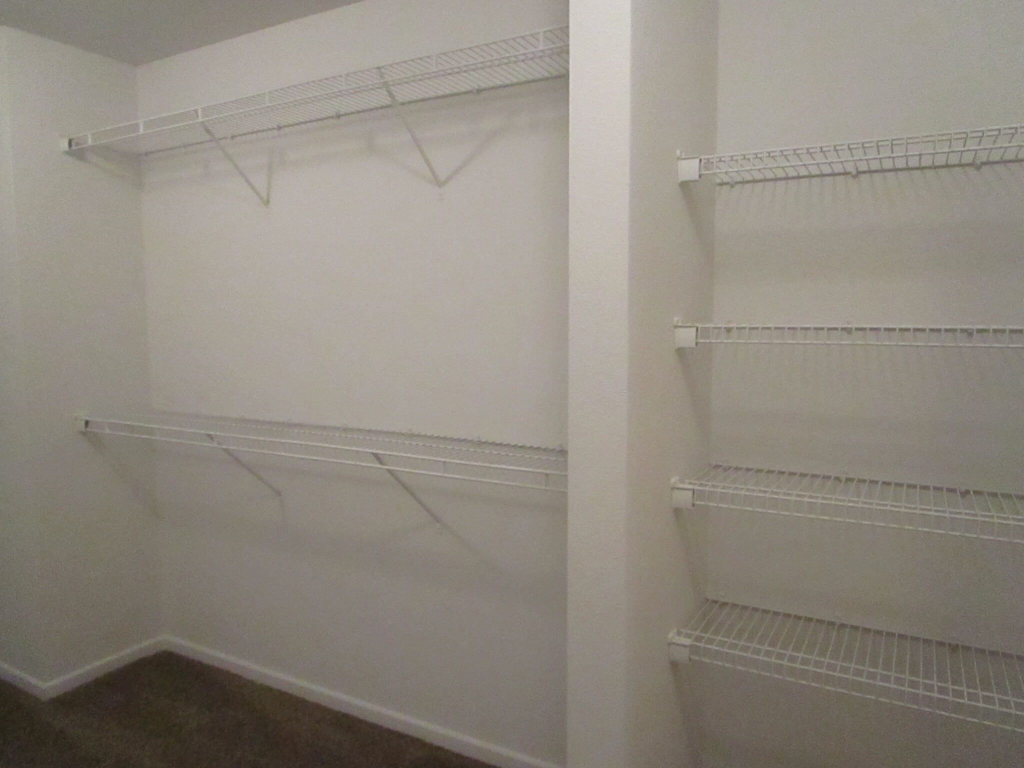 Building Photo - 2890 Sentiment Ln