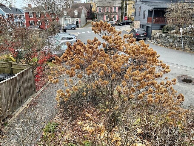 Building Photo - 26 Summer St