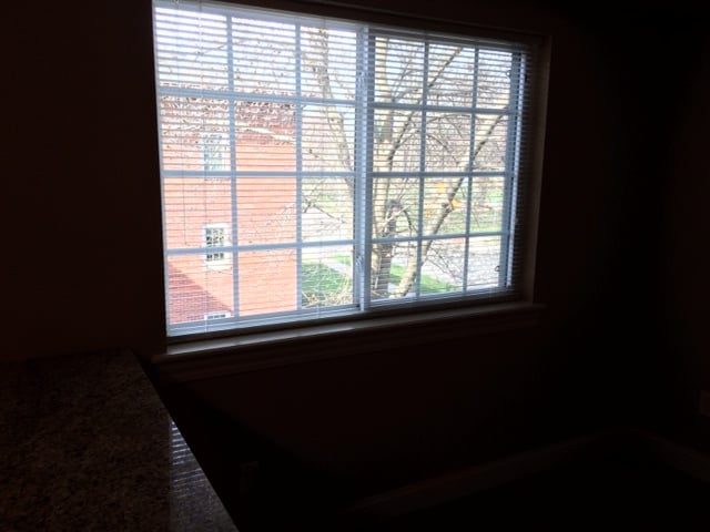 Living Room window view - 100 Grandview Ct