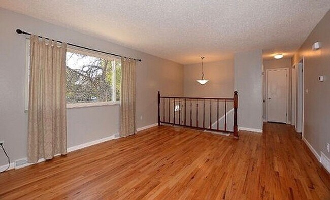 Building Photo - AVAILABLE AUGUST! Huge 4 bedroom/2 bath home with large fenced yard