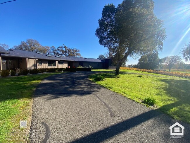 Building Photo - Stunning 4 Bedroom / 2 Bathroom Home Surrounded by Vineyards & Breathtaking Views