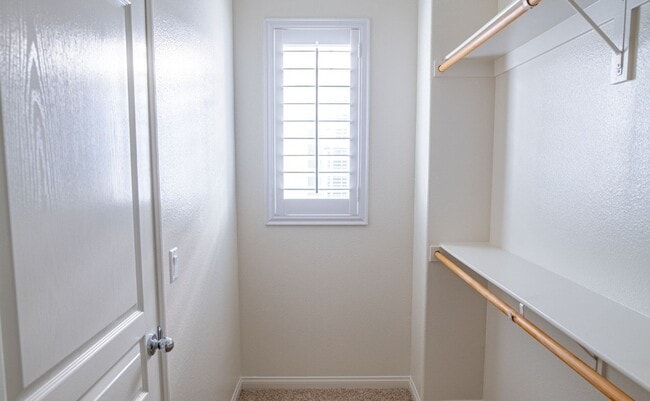 Building Photo - 4230 Vía Angelo