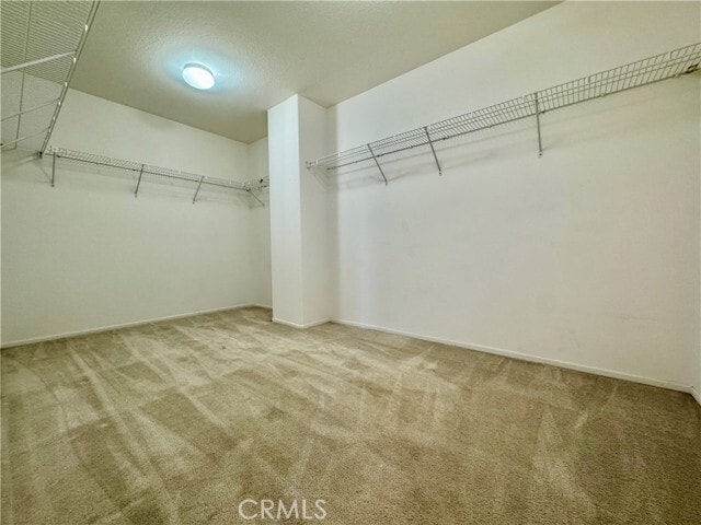 Building Photo - 16612 China Berry Ct