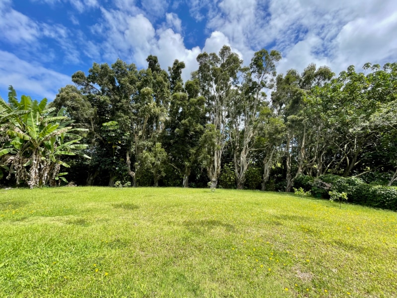 Building Photo - 6065A Kolopua St