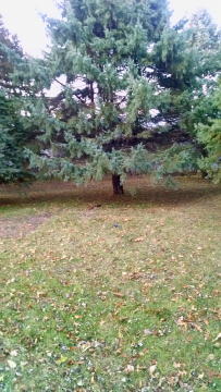 Building Photo - 1120 Northwood Dr N