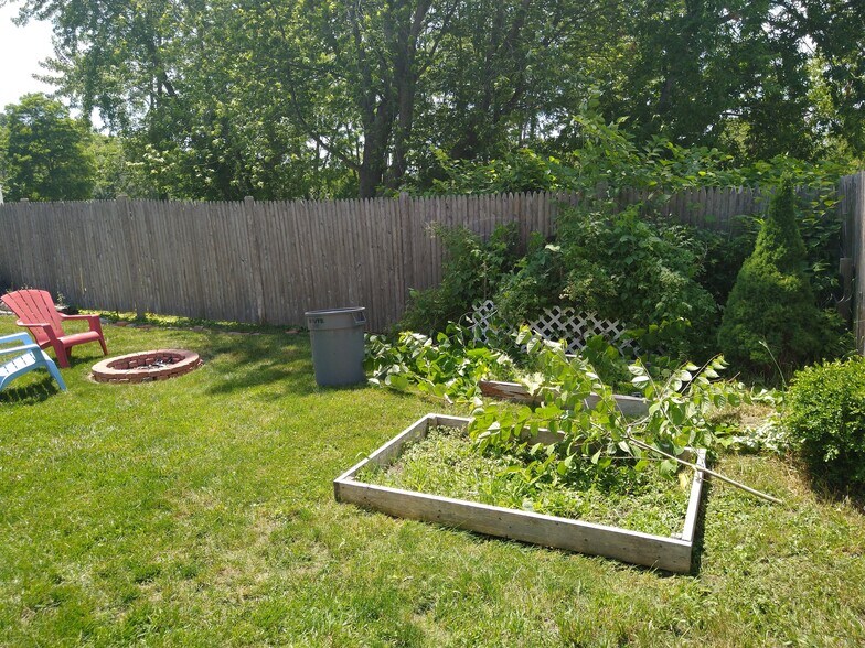 Shared back yard - 245 Locust St