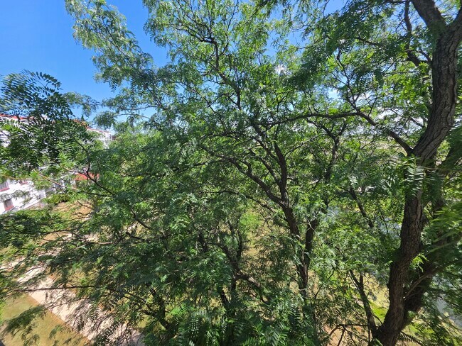 Building Photo - 350 Plum Creek Dr
