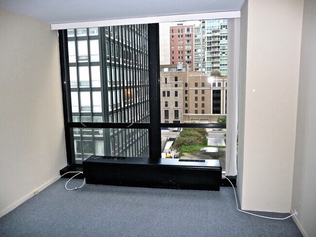 Building Photo - 900 N Lake Shore Dr