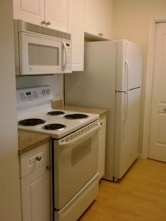 kitchen - 1315 Alma Ave