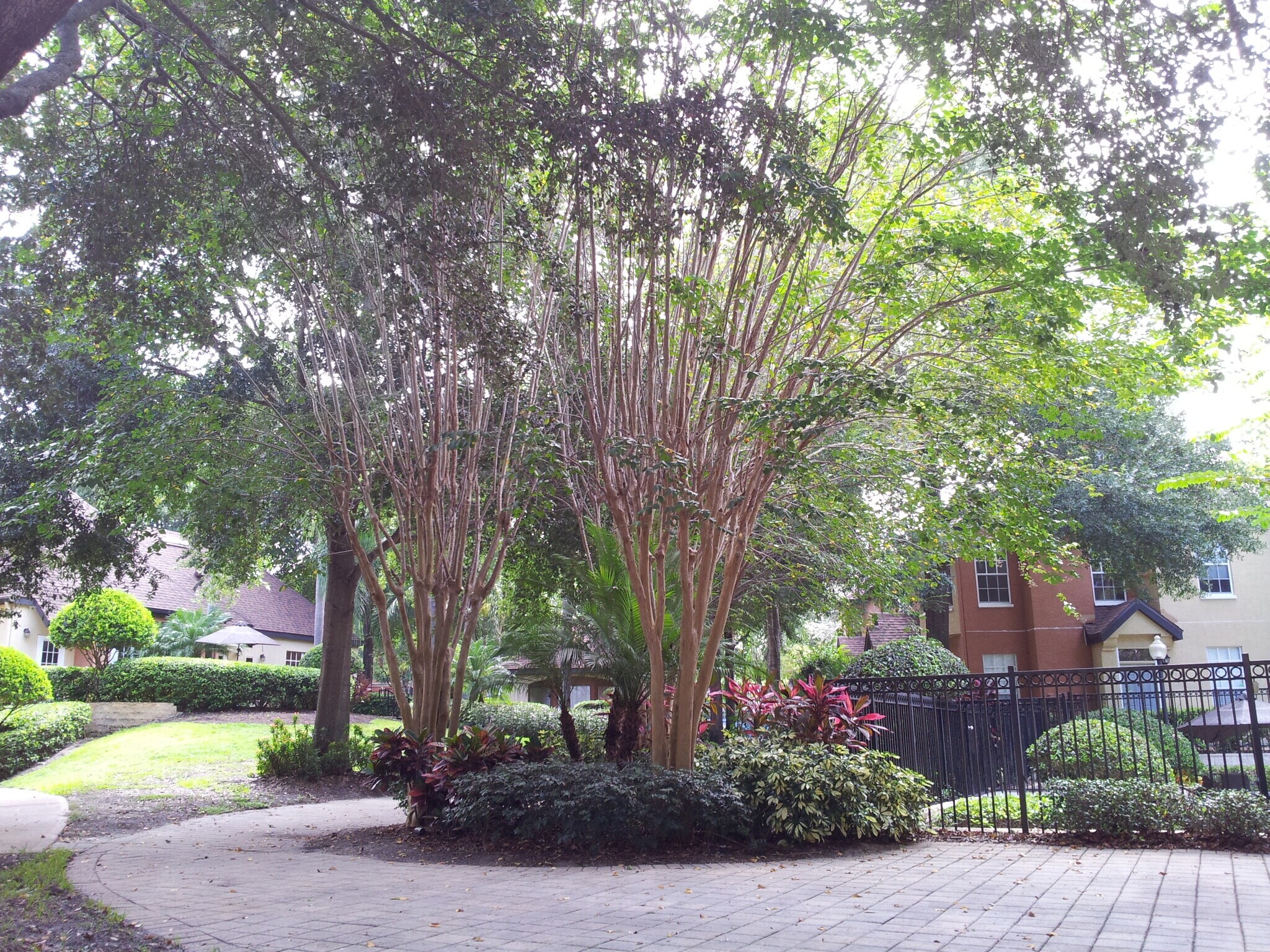 Common Area - 6300 Raleigh St