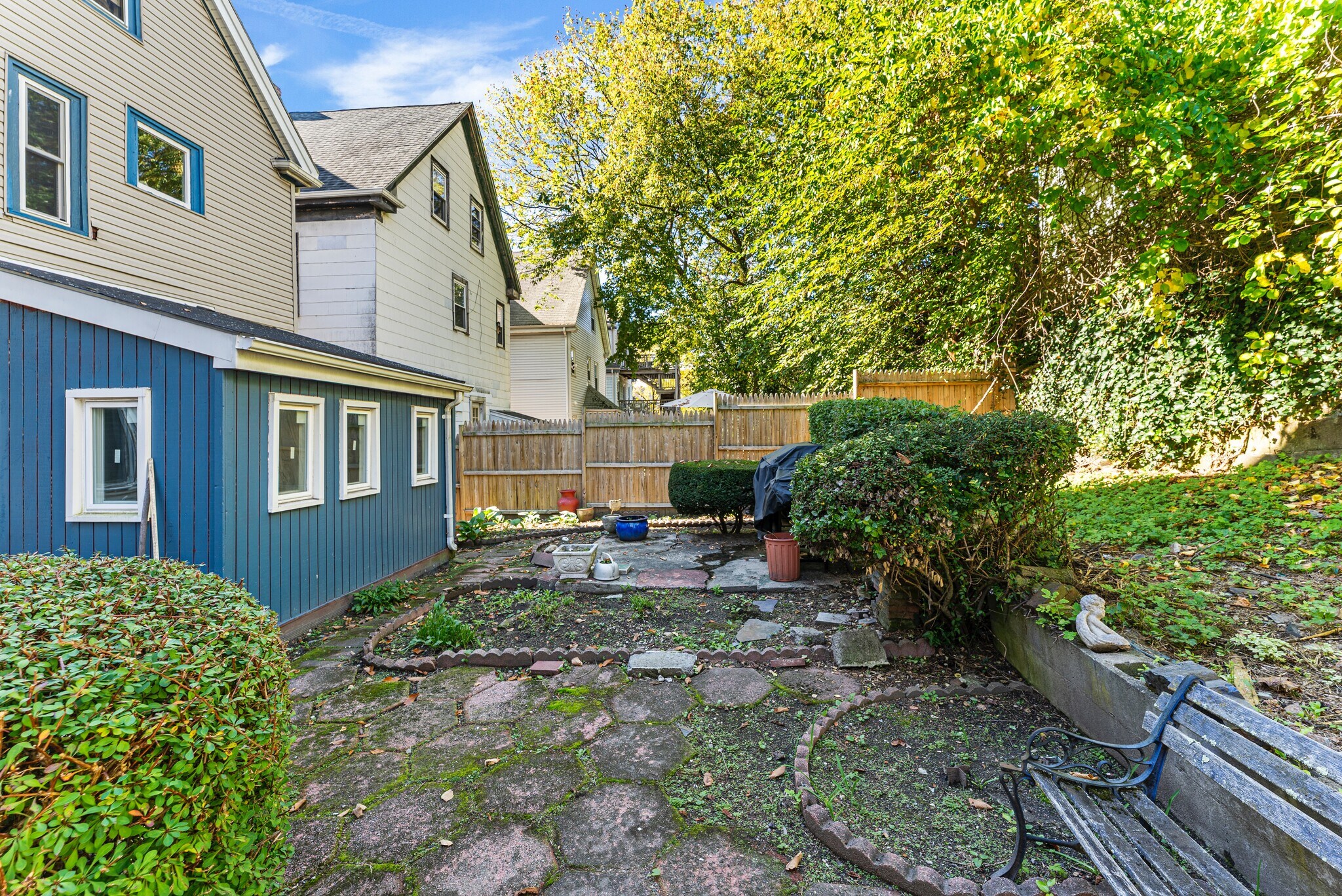 backyard - 31 Cameron Ave
