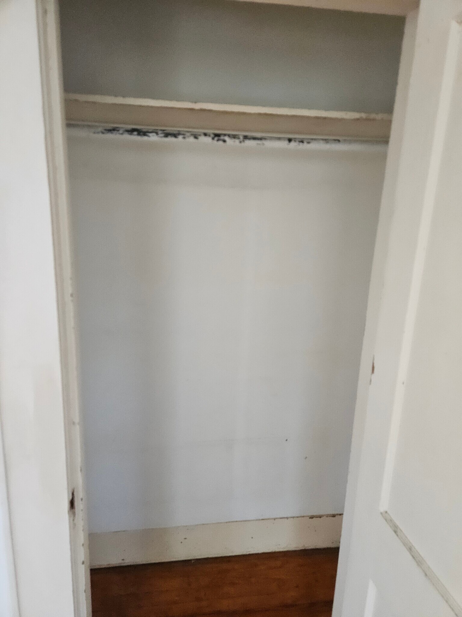 Building Photo - 1661 Marshall St