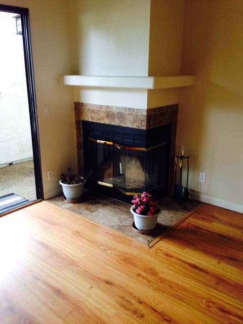 Fireplace in Living Room - 2425 Cranston Dr