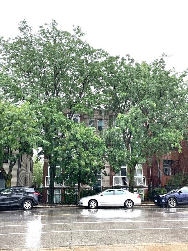 Primary Photo - 2135 N Southport Ave