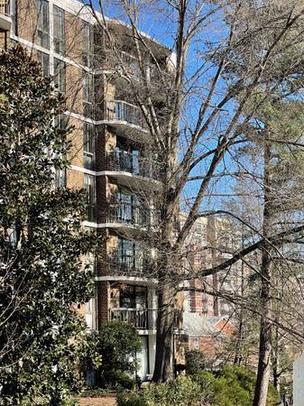 Private Balcony among the trees - 1401 N Rhodes St