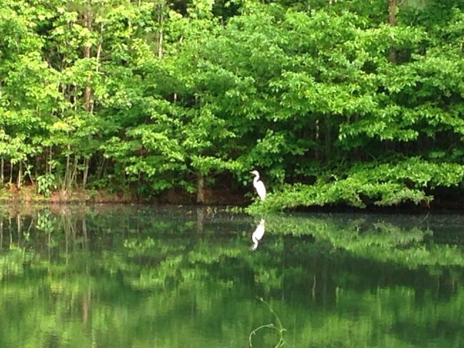 Building Photo - 110 Bugle Ct