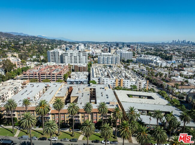Building Photo - 1730 Camino Palmero St