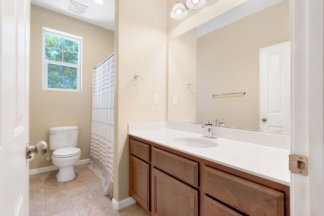 Building Photo - Beautiful East Davis Home