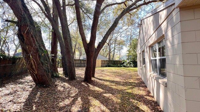 Building Photo - BEAUTIFUL 3 Bedroom 2 Bathroom home in Apopka