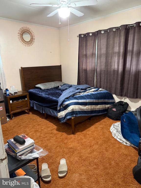 Building Photo - 1062 Terrace Blvd