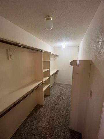 Building Photo - 553 Raintree Cir