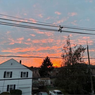 Building Photo - 41 Delia Blvd