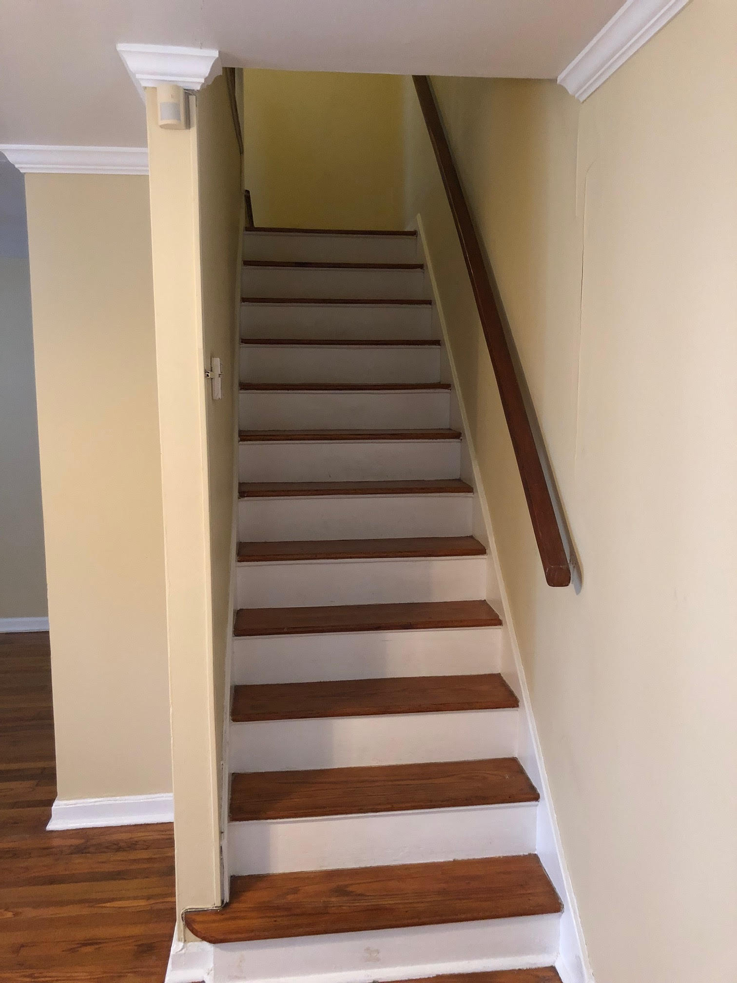 9 - Stairway to 2nd Floor - 810 Rittiner Dr