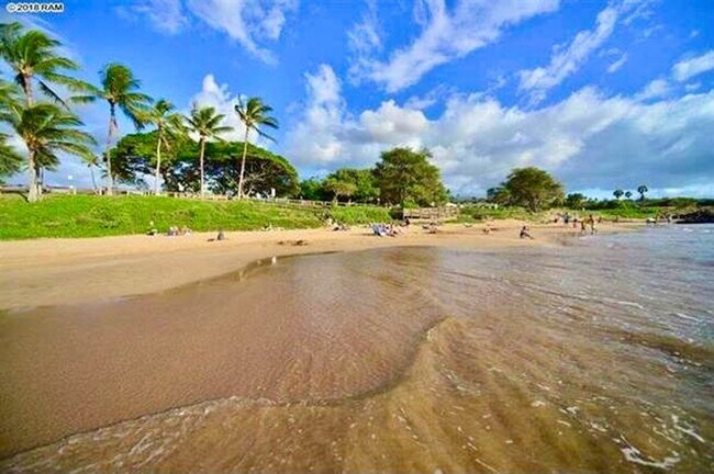 Building Photo - Fully Furnished Luxury Unit