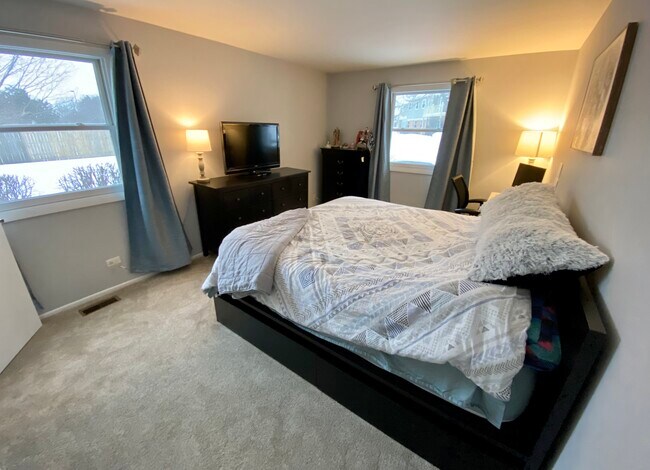 Master Bedroom - 2405 Mallow Ct