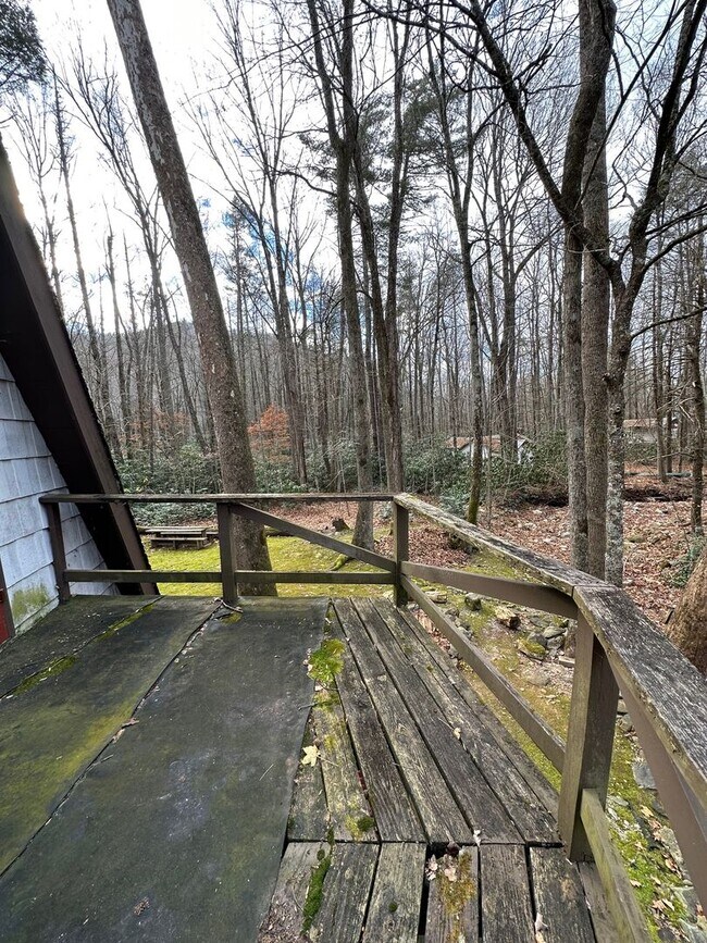 Building Photo - 2 Bedroom / 1 bath A Frame Home  Erwin, TN