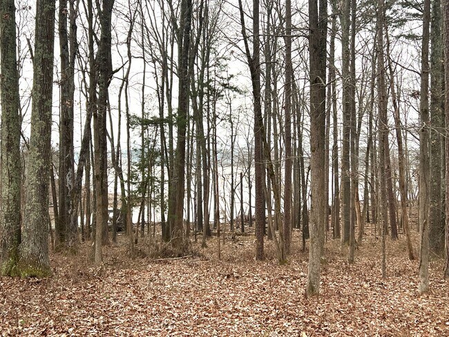 Building Photo - Furnished & All Inclusive Rental with Lake View-SHORT TERM LEASING!!