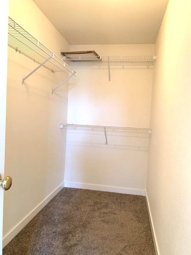 Building Photo - Bright and airy 4 bed!