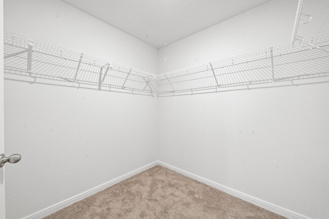 Building Photo - 20742 Nala Bear Dr