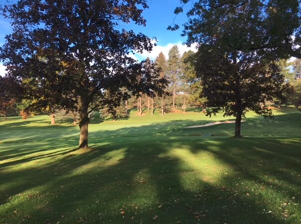 Backyard overlooking golf course - 2311 Baird Rd