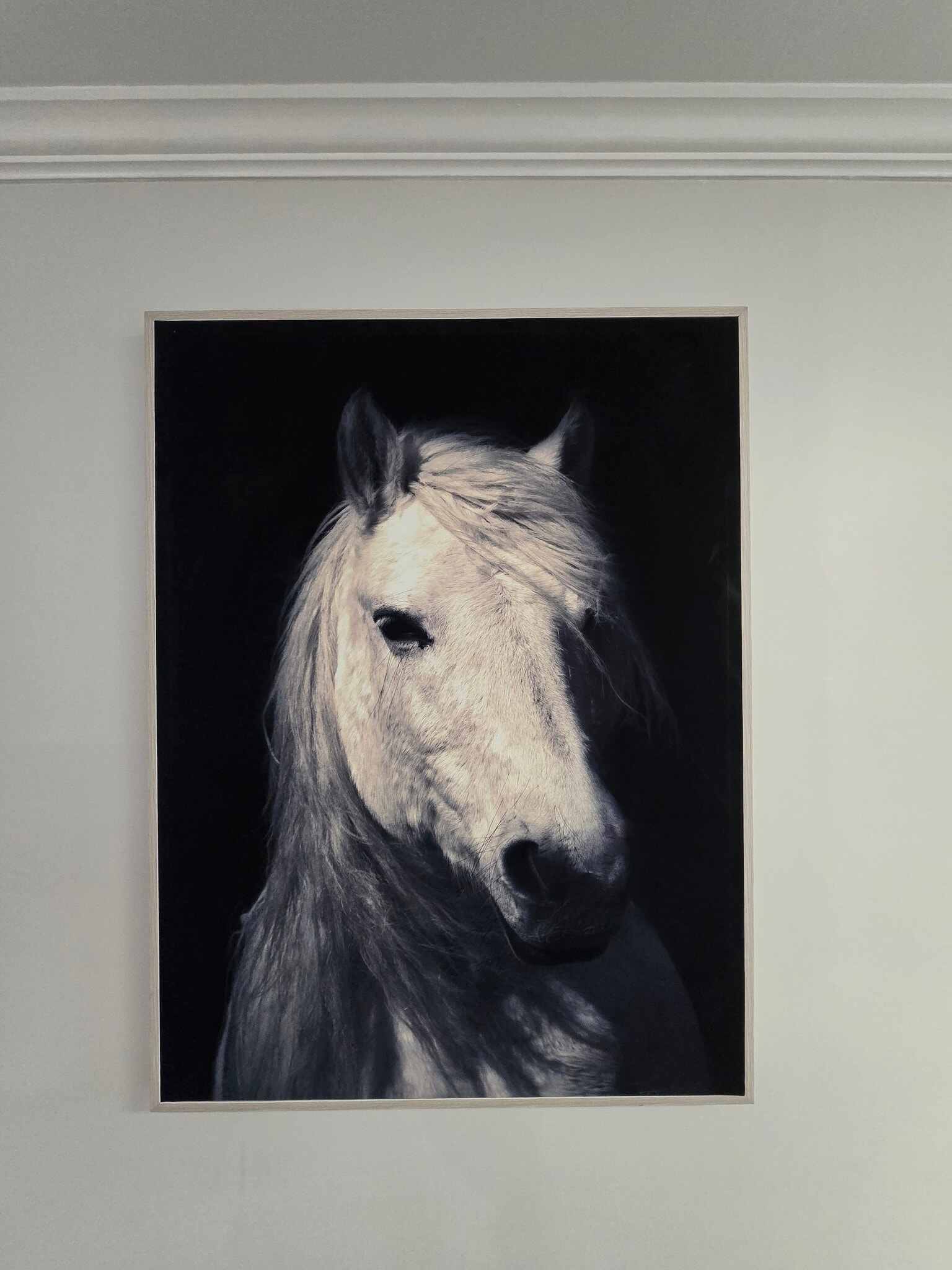 Building Photo - 2875 Whitby Dr