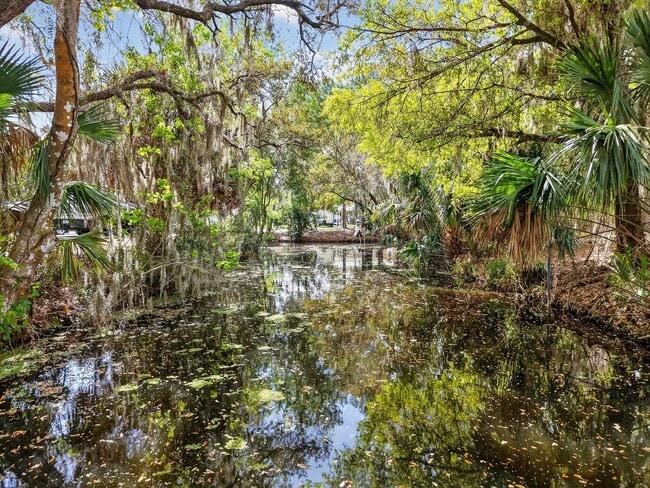 Building Photo - Fully Renovated Canal-Front Home on the Harris Chain of Lakes!