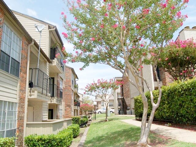 Building Photo - 8550 Spring Valley Rd