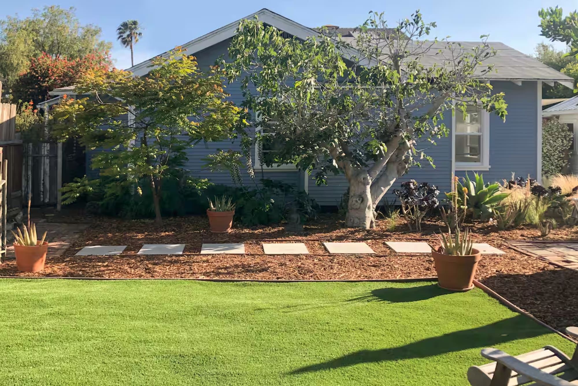 Backyard with lime, fig and other fruit trees - 829 Superba Ave